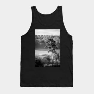 Scots Pine Tree Tank Top